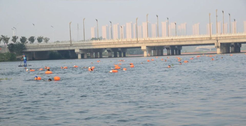 现给大家, 中闪烁的星, 毛泽东主席